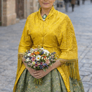 Falda y Mantón Adamascados Tradicionales – Indumentaria Regional Española